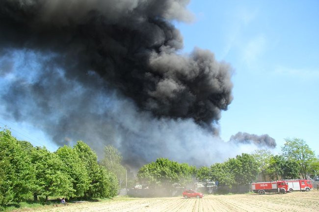 Wielki pożar w Miąskowie (zdjęcia i wideo)