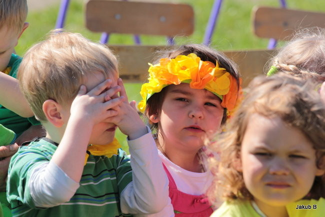 Przedszkolaki zzieleniały (zdjęcia)
