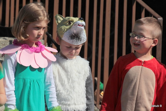 Przedszkolaki zzieleniały (zdjęcia)