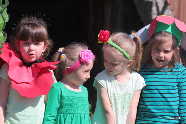 Przedszkolaki zzieleniały (zdjęcia)