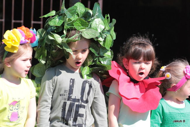 Przedszkolaki zzieleniały (zdjęcia)
