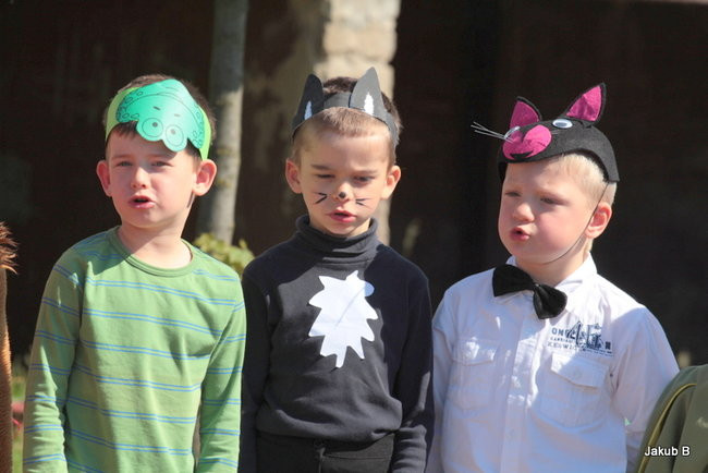 Przedszkolaki zzieleniały (zdjęcia)