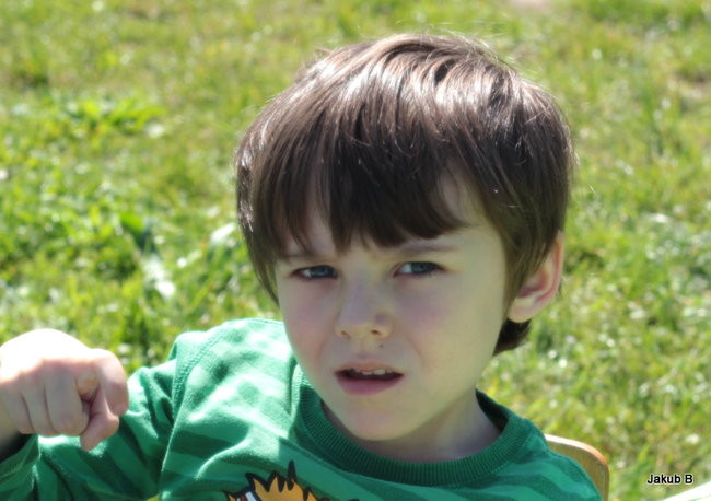 Przedszkolaki zzieleniały (zdjęcia)