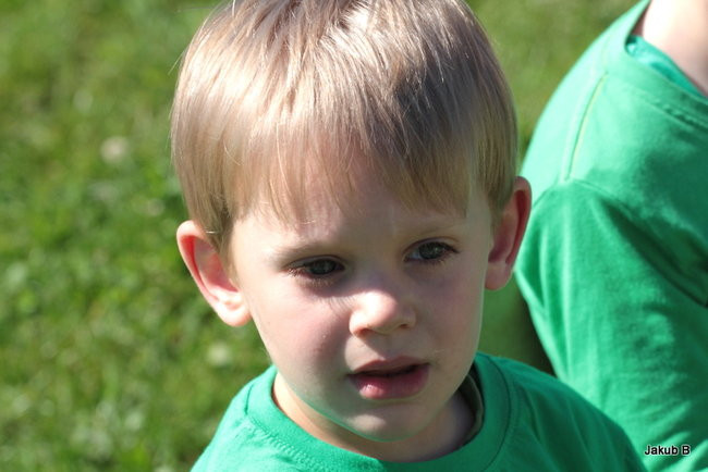 Przedszkolaki zzieleniały (zdjęcia)