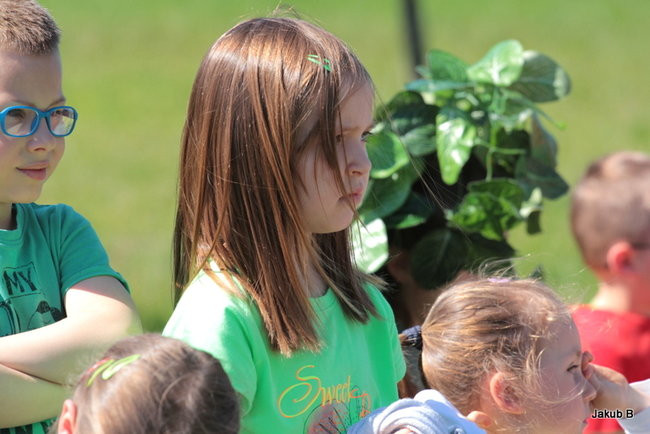Przedszkolaki zzieleniały (zdjęcia)