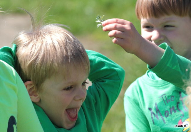 Przedszkolaki zzieleniały (zdjęcia)