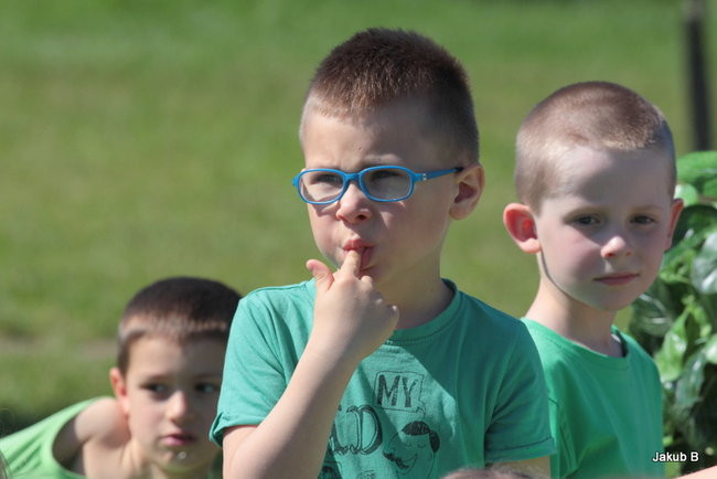 Przedszkolaki zzieleniały (zdjęcia)