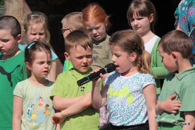 Przedszkolaki zzieleniały (zdjęcia)