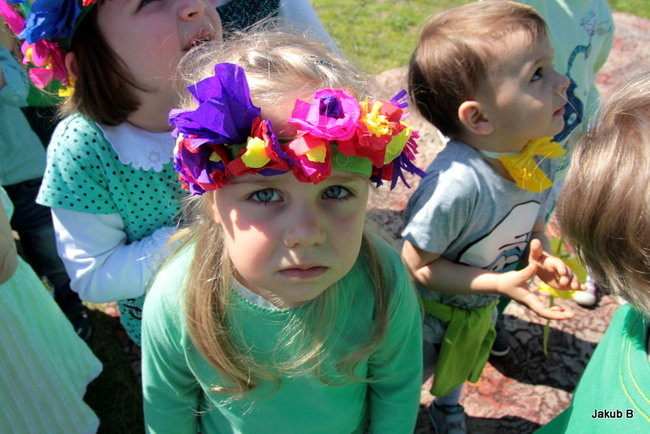 Przedszkolaki zzieleniały (zdjęcia)
