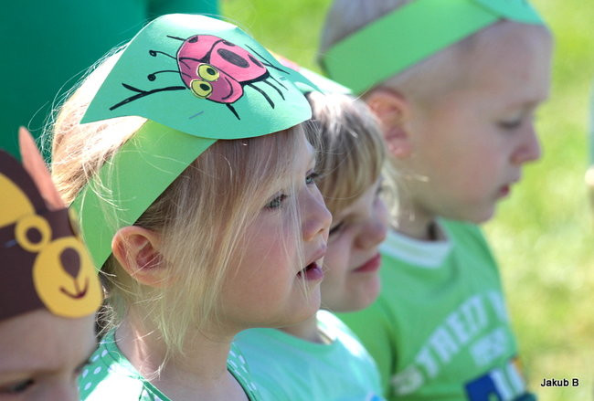 Przedszkolaki zzieleniały (zdjęcia)