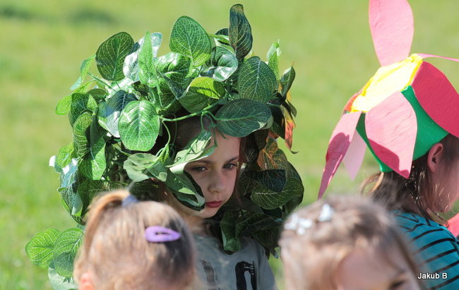 Przedszkolaki zzieleniały (zdjęcia)