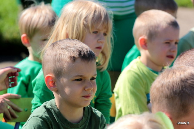 Przedszkolaki zzieleniały (zdjęcia)