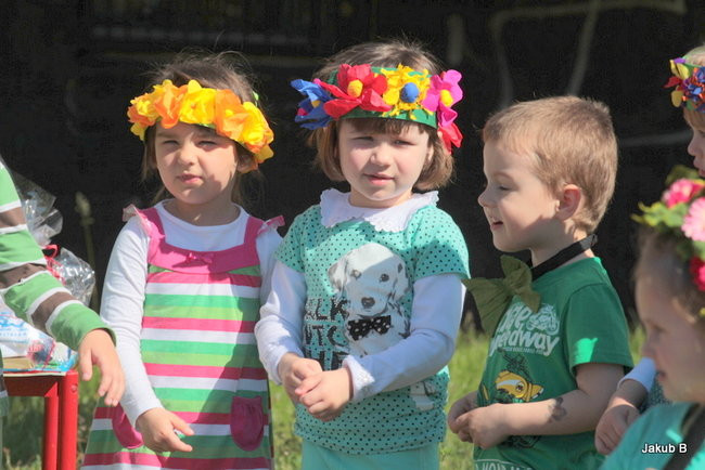 Przedszkolaki zzieleniały (zdjęcia)