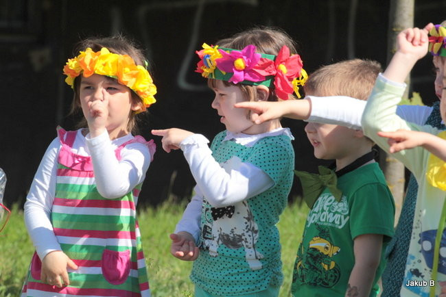 Przedszkolaki zzieleniały (zdjęcia)