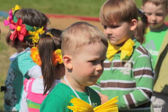 Przedszkolaki zzieleniały (zdjęcia)