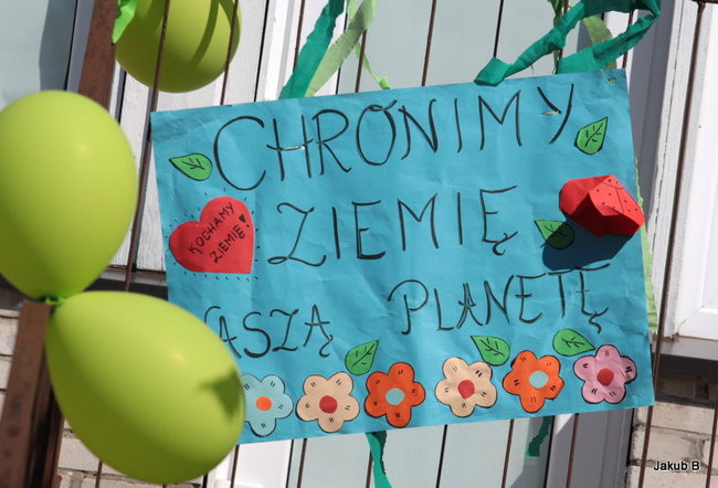 Przedszkolaki zzieleniały (zdjęcia)