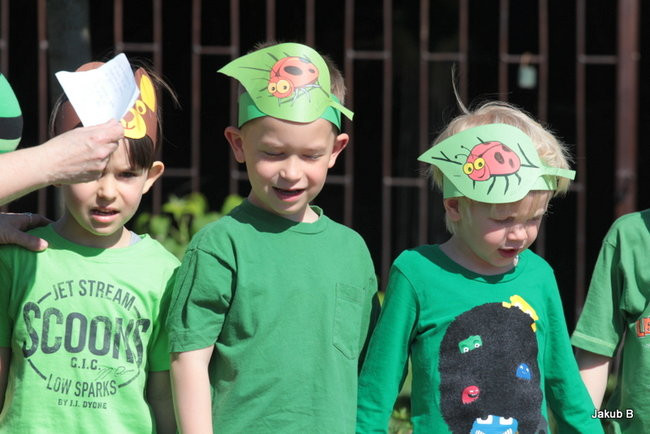 Przedszkolaki zzieleniały (zdjęcia)