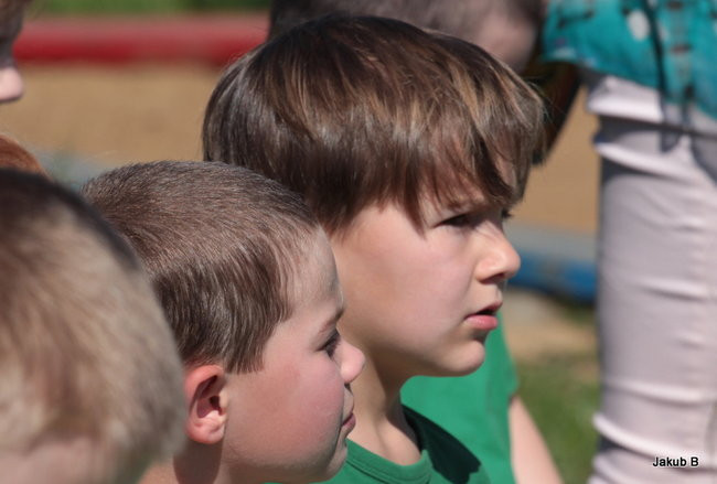 Przedszkolaki zzieleniały (zdjęcia)