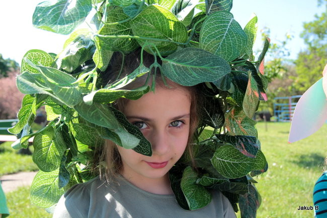 Przedszkolaki zzieleniały (zdjęcia)