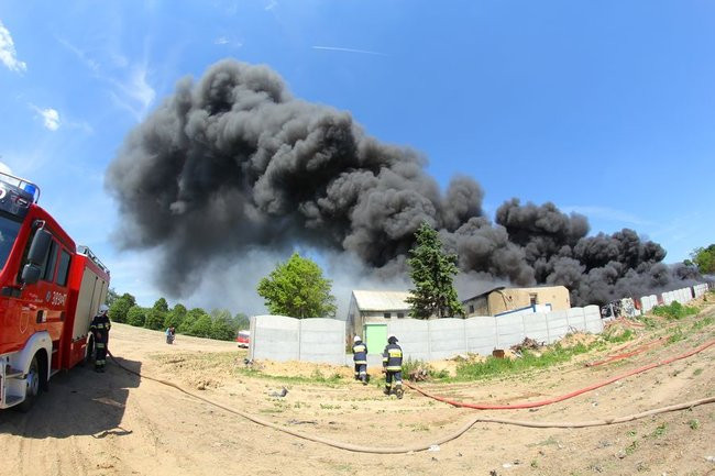 Milion złotych strat po pożarze w Miąskowie (zdjęcia)
