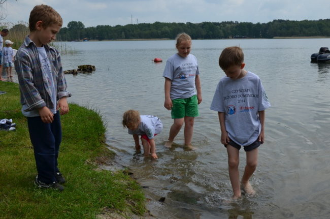 Śmieci jak na lekarstwo (zdjęcia)