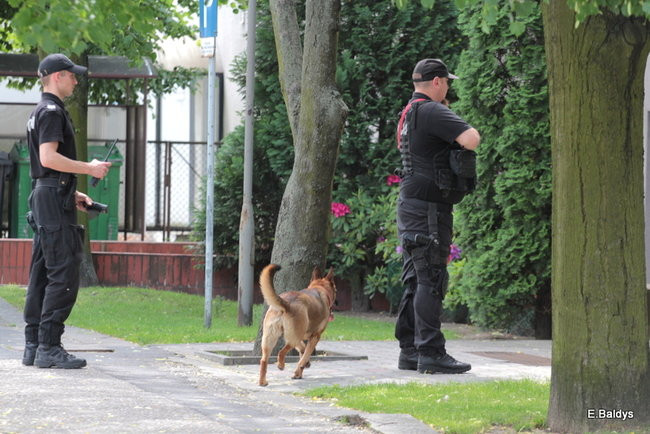 Bomby na Dekana nie znaleziono (wideo i zdjęcia)