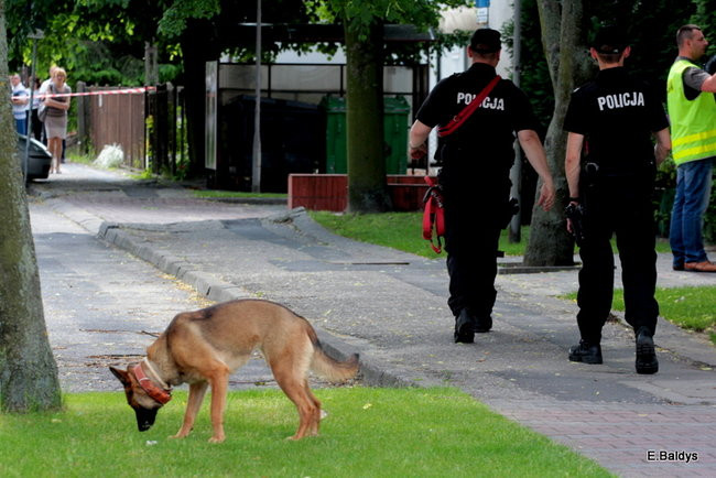 Bomby na Dekana nie znaleziono (wideo i zdjęcia)