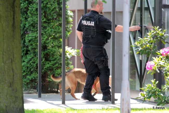 Bomby na Dekana nie znaleziono (wideo i zdjęcia)