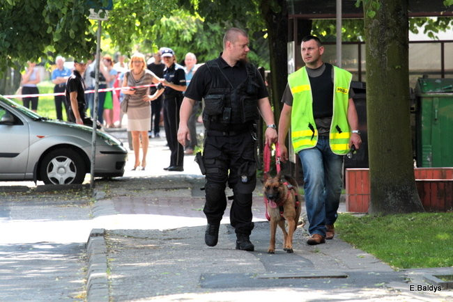 Bomby na Dekana nie znaleziono (wideo i zdjęcia)