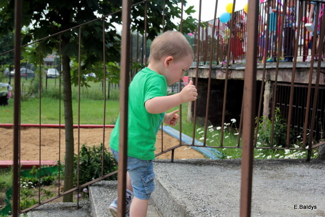 Wiwaty na cześć Mamy i Taty (zdjęcia)