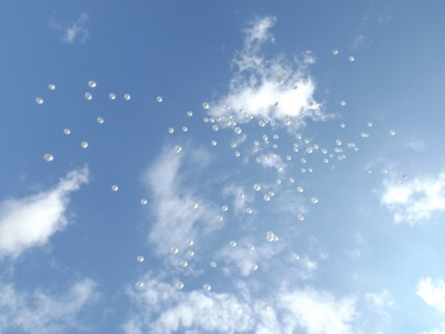 Leszczyński Ekonomik wolny od nikotyny (zdjęcia)