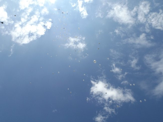 Leszczyński Ekonomik wolny od nikotyny (zdjęcia)