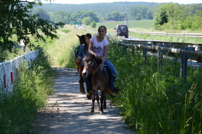 Festyn pod wiatrakami (zdjęcia)