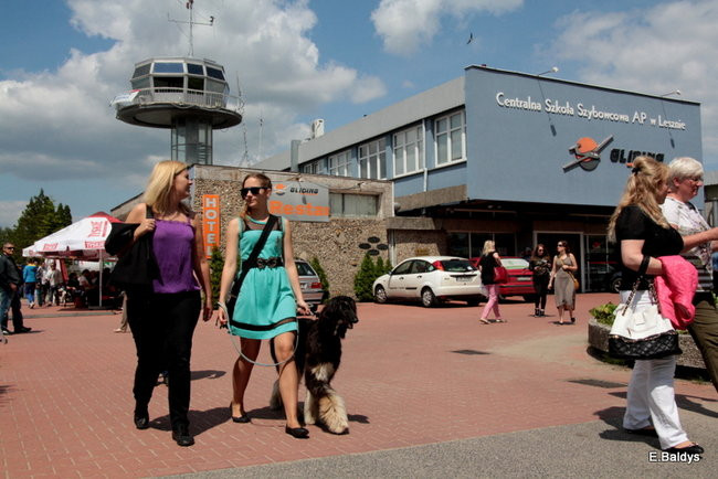 Setki czworonogów w Lesznie (zdjęcia)