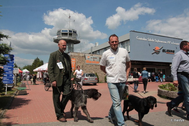Setki czworonogów w Lesznie (zdjęcia)