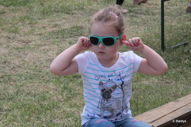 Setki czworonogów w Lesznie (zdjęcia)