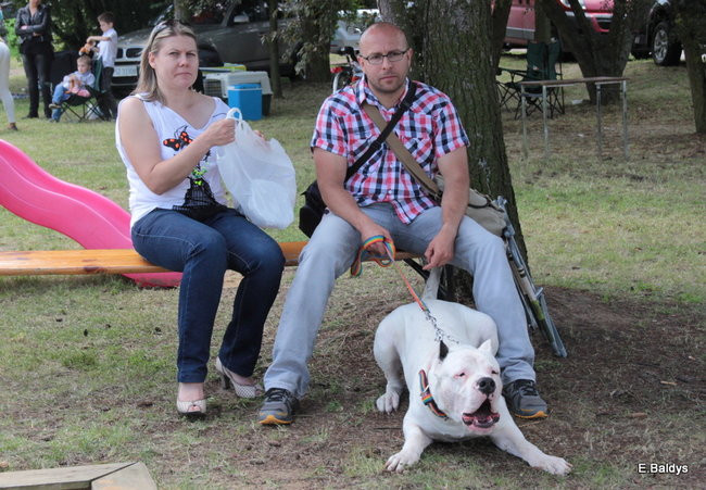 Setki czworonogów w Lesznie (zdjęcia)