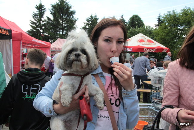 Setki czworonogów w Lesznie (zdjęcia)
