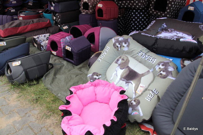 Setki czworonogów w Lesznie (zdjęcia)