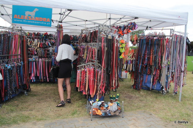 Setki czworonogów w Lesznie (zdjęcia)