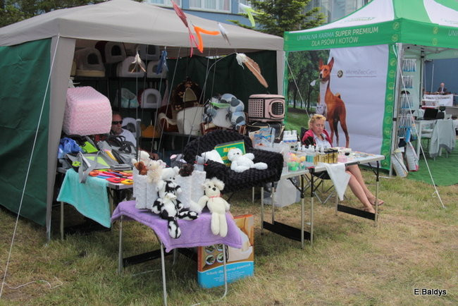 Setki czworonogów w Lesznie (zdjęcia)