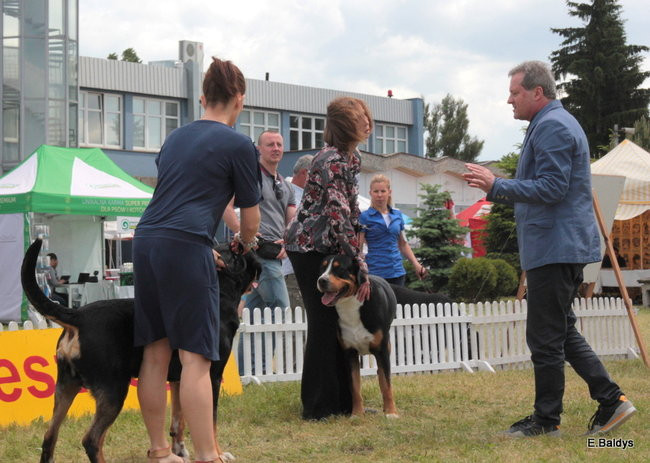 Setki czworonogów w Lesznie (zdjęcia)