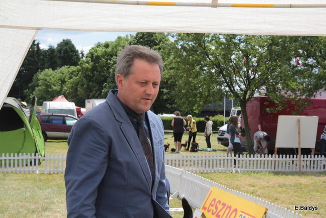 Setki czworonogów w Lesznie (zdjęcia)