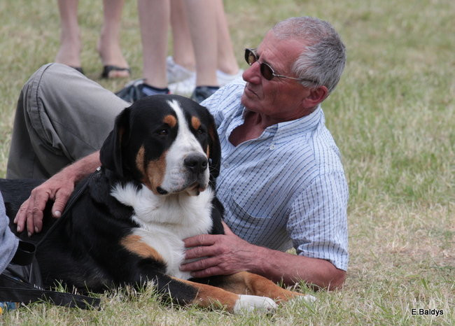 Setki czworonogów w Lesznie (zdjęcia)