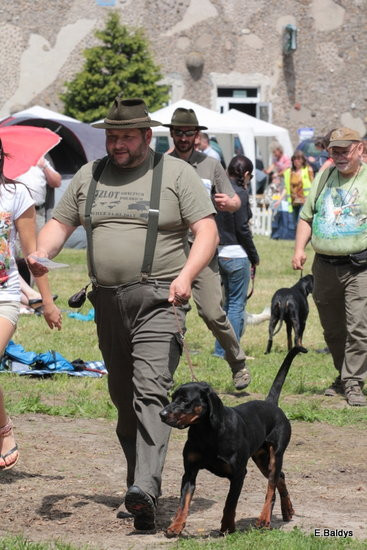 Setki czworonogów w Lesznie (zdjęcia)