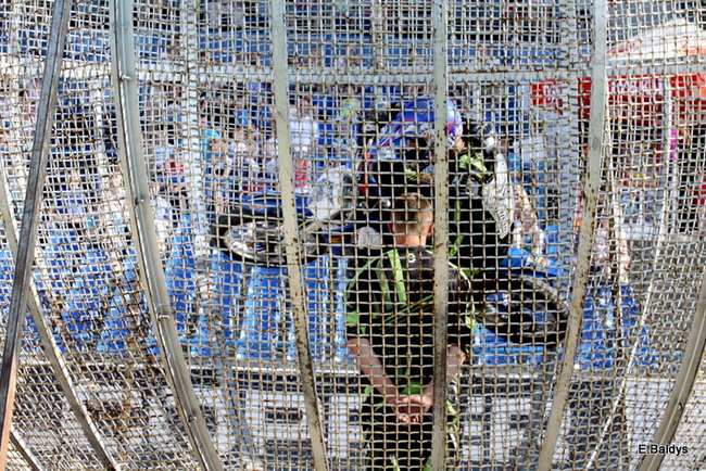 Bez litości dla sprzętu (zdjęcia)