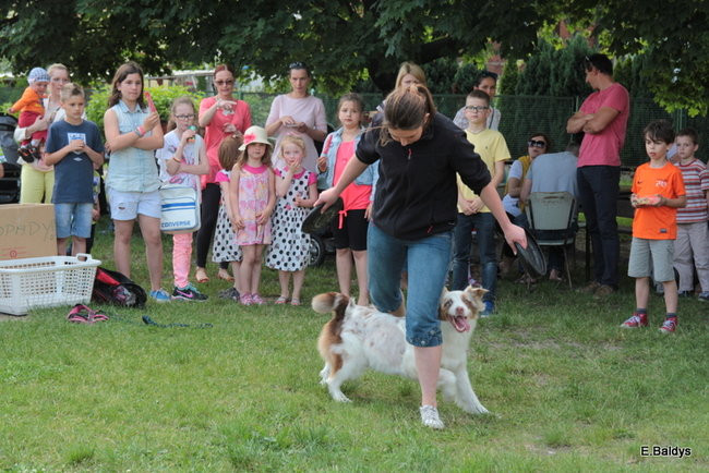 Festyn u Bolka i Lolka (zdjęcia)