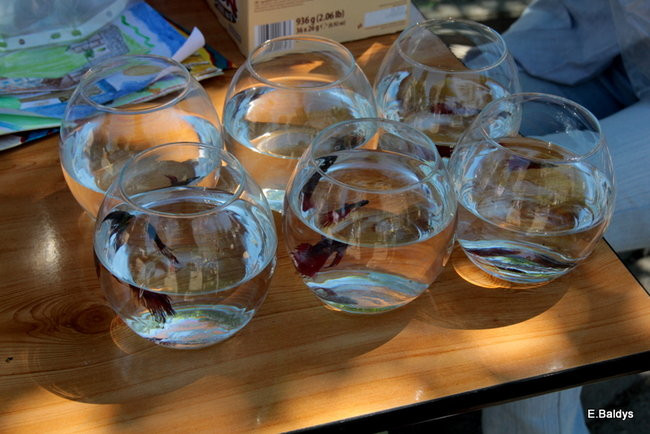 Rodzinnie na Leszczynku (zdjęcia)