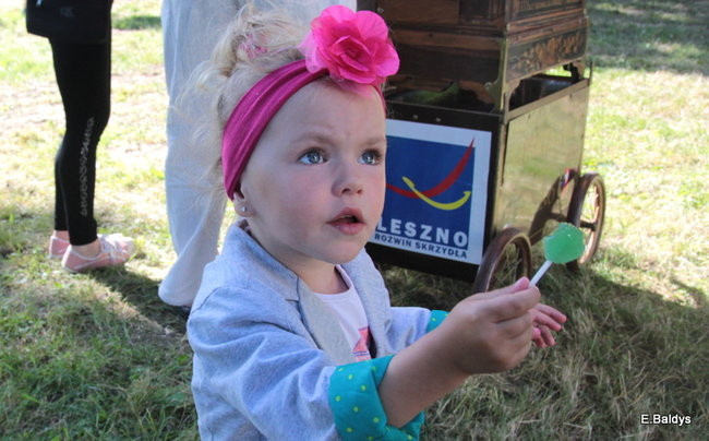 Festyn Rodzinny Stowarzyszenia Echo (zdjęcia)