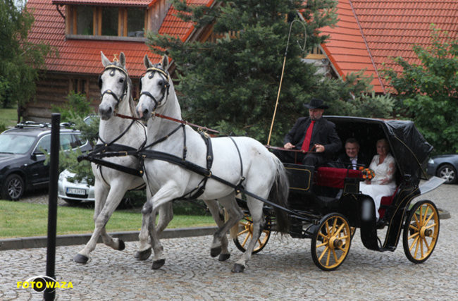 Ślub prezydenta Leszna (zdjęcia)